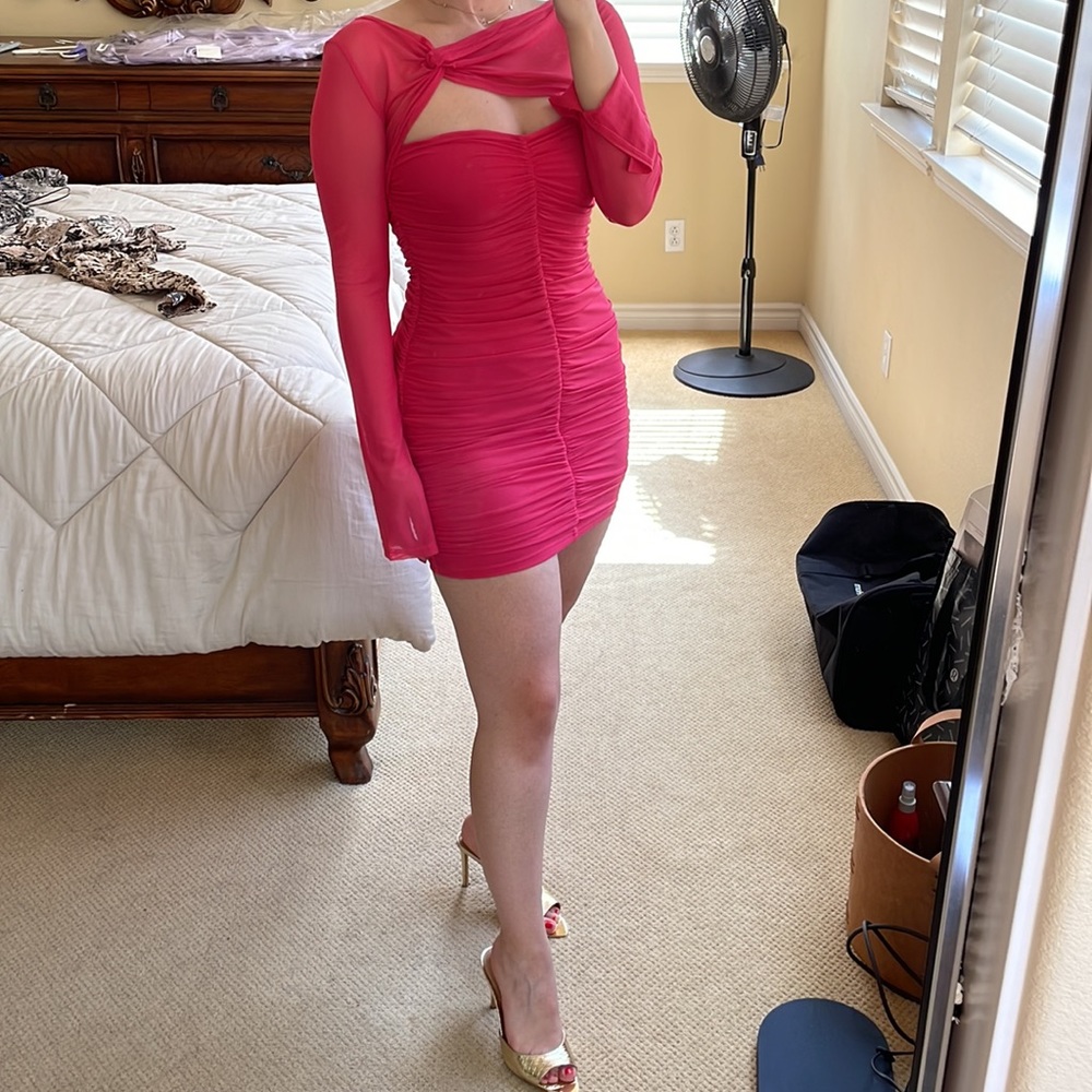 Mesh Pink sheer long sleeve mini dress